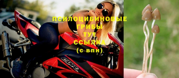 мескалин Алексеевка