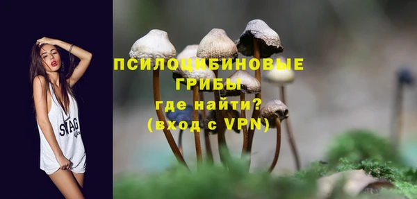 героин Алексин
