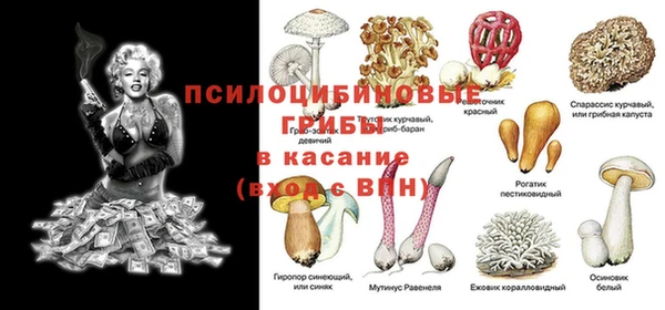 героин Алексин