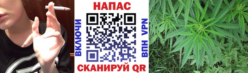 Бошки Шишки THC 21%  закладки  Межгорье 